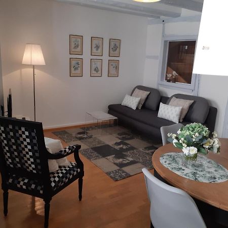 Apartament Margot - Hyper Centre Colmar Zewnętrze zdjęcie