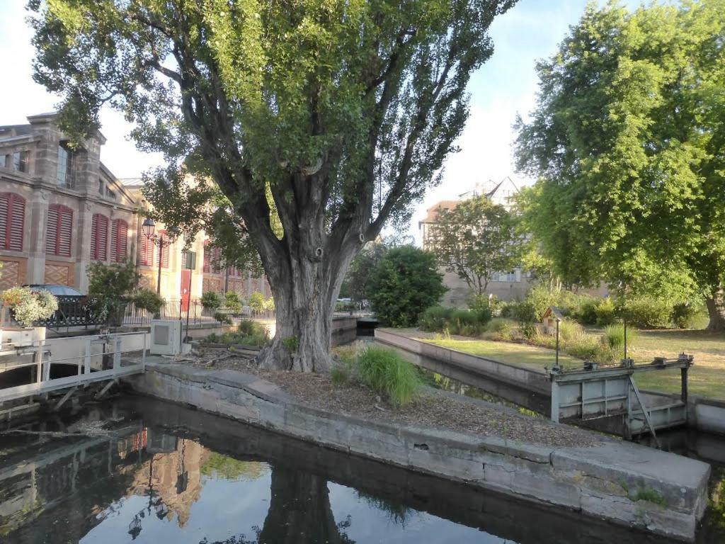 Apartament Margot - Hyper Centre Colmar Zewnętrze zdjęcie