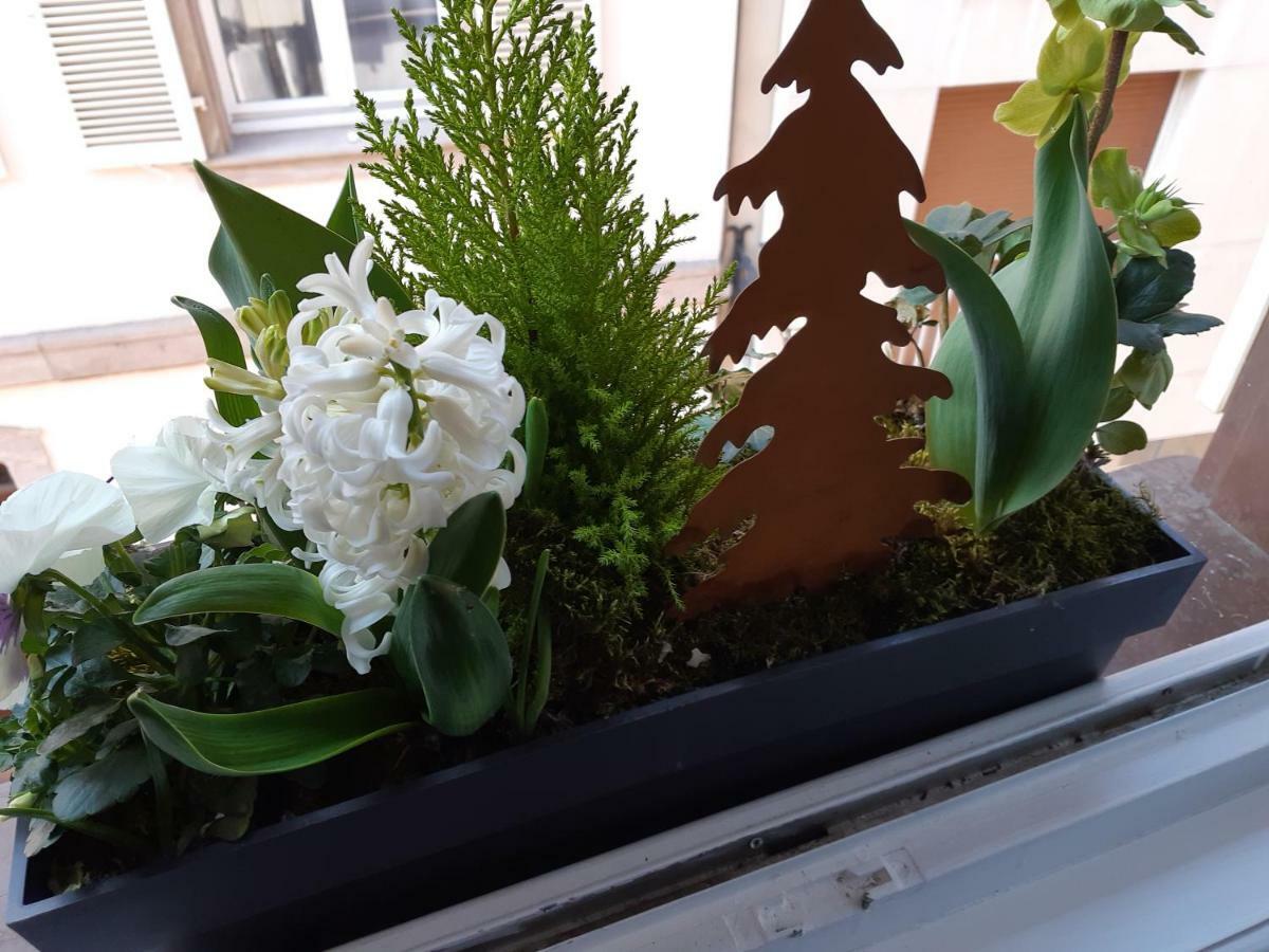 Apartament Margot - Hyper Centre Colmar Zewnętrze zdjęcie
